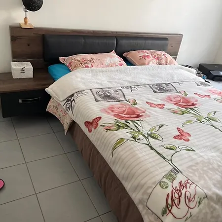 Le Palmier Apartamento *